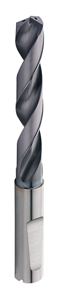 MS-5xD Whistle notch